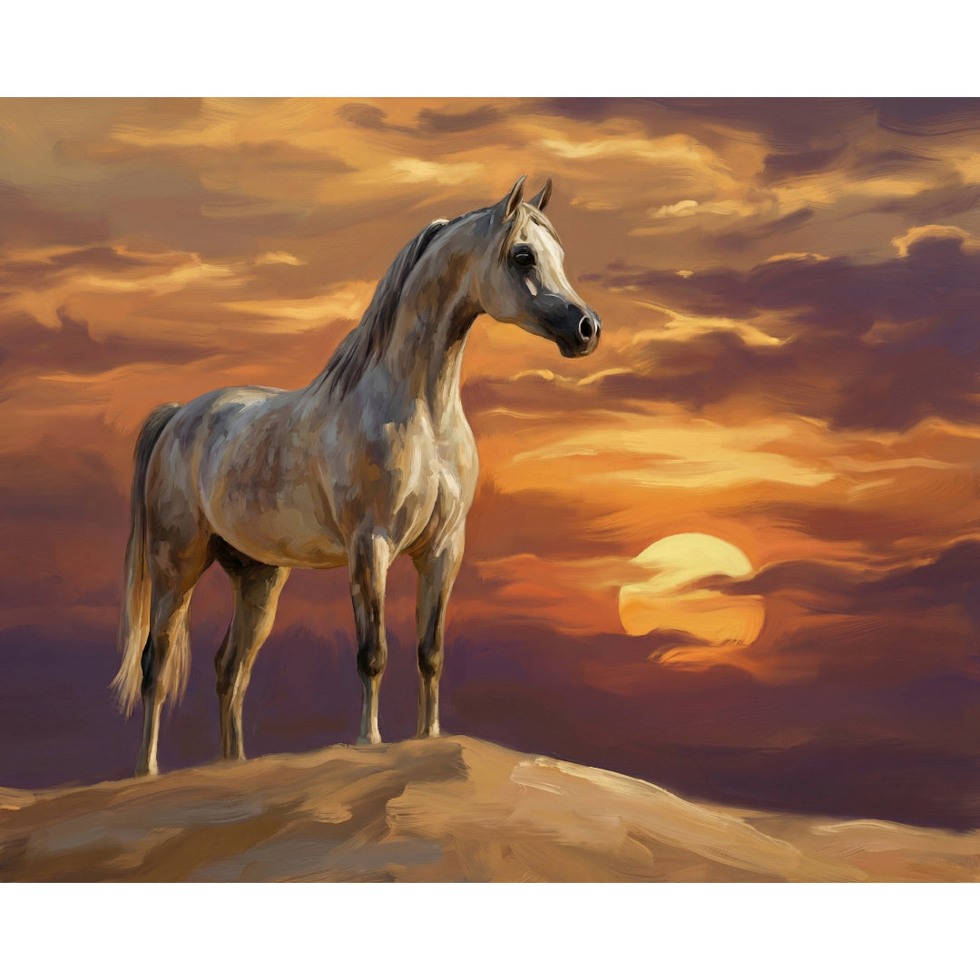 arabian-horse-paint-by-numbers-kit