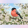 bullfinch-diamond-painting-kit