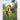 goldfinch-diamond-painting-kit