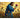 jesus-hold-a-rose-paint-by-numbers-kit