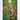 rainforest-elephant-diamond-painting-kit