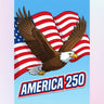sky-bald-eagle-diamond-painting-kit-diamond-painting-art-kit
