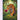 tiger-sniffes-the-rose-diamond-painting-kit