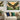 tree-eagle-diamond-painting-kit