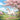 white-horse-under-cherry-blossom-diamond-painting-kit