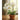 white-orchid-paint-by-numbers-kit