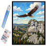 america-mount-rushmore-paint-by-numbers-kit