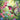 anna's-hummingbird-diamond-painting-kit