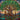 banyan-tree-diamond-painting-kit