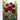 deep-crimson-rose-diamond-painting-kit-diamond-painting-art-kit