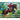 equestrian-show-paint-by-numbers-kit