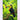 keel-billed-toucan-diamond-painting-kit