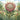 king-protea-diamond-painting-kit-diamond-painting-art-kit