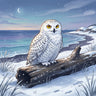 snowy-owl-diamond-painting-kit