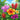tropical-flowers-diamond-painting-kit-diamond-painting-art-kit