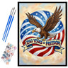 usa-250-years-of-freedom-paint-by-numbers-kit