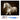 white-andalusian-horse-paint-by-numbers-kit